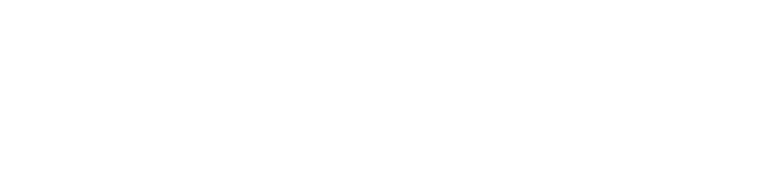Alpine Elevator Professionals Logo